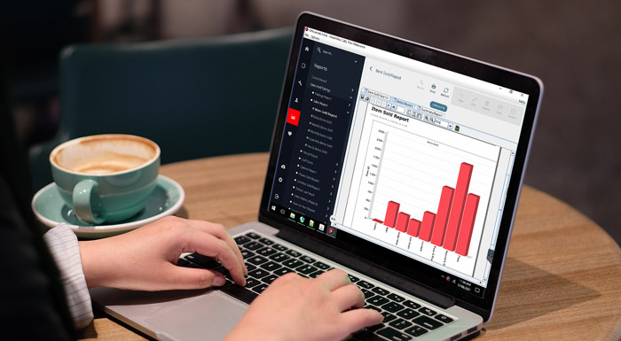 Person using a laptop viewing POS sales reports  report